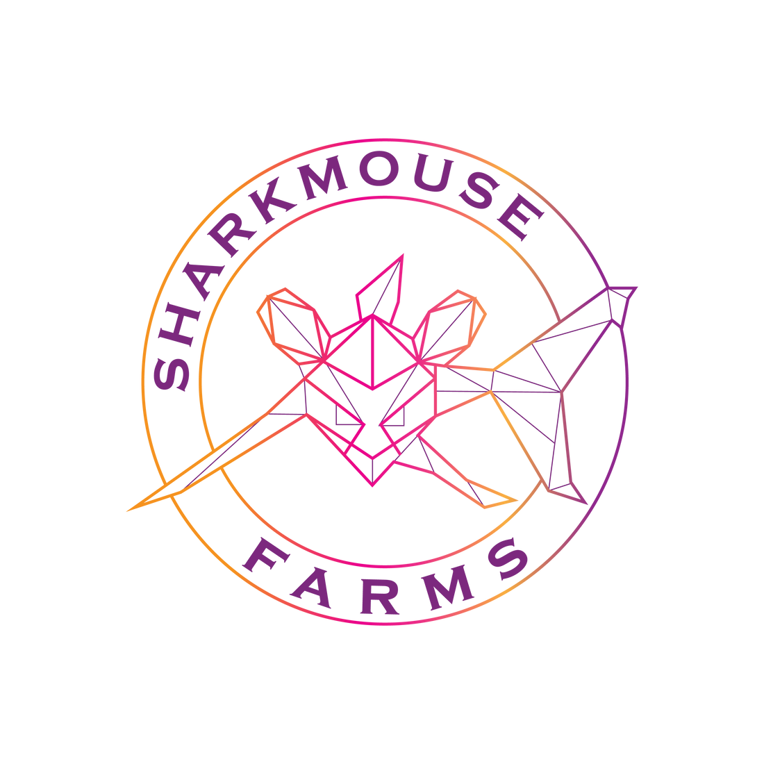 The Science Behind Optimal Post-Harvest Practices revealed: Unveiling the Truth About Drying and Preservation Techniques