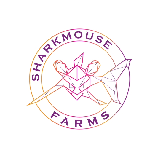 The Science Behind Optimal Post-Harvest Practices revealed: Unveiling the Truth About Drying and Preservation Techniques