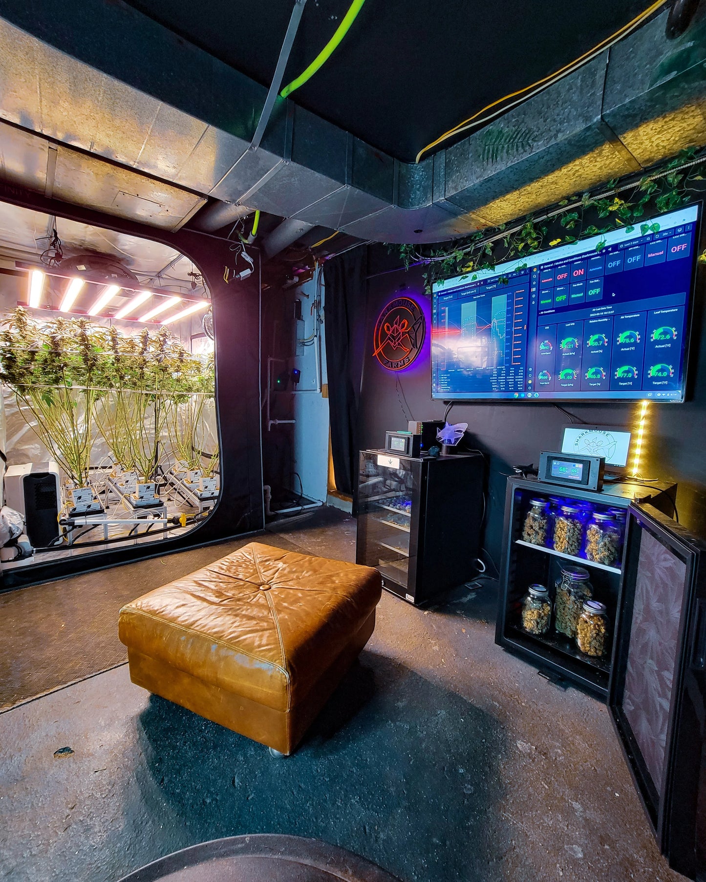 30 minute 1:1 consult